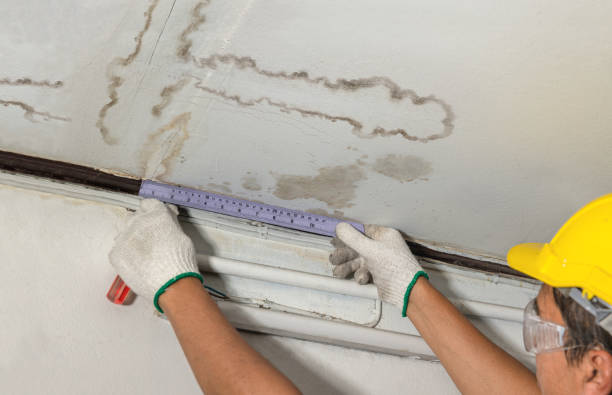 Reliable Water Damage Repair contractor in Peekskill, NY by Hirex Water Damage